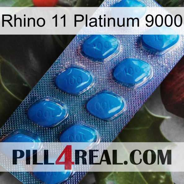 Rhino 11 Platinum 9000 viagra1.jpg